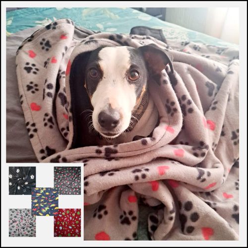 Wrap your beloved furry friend in warmth and comfort this winter with our Rebarkable Pet blanket. Available in three different sizes. Shop Now!